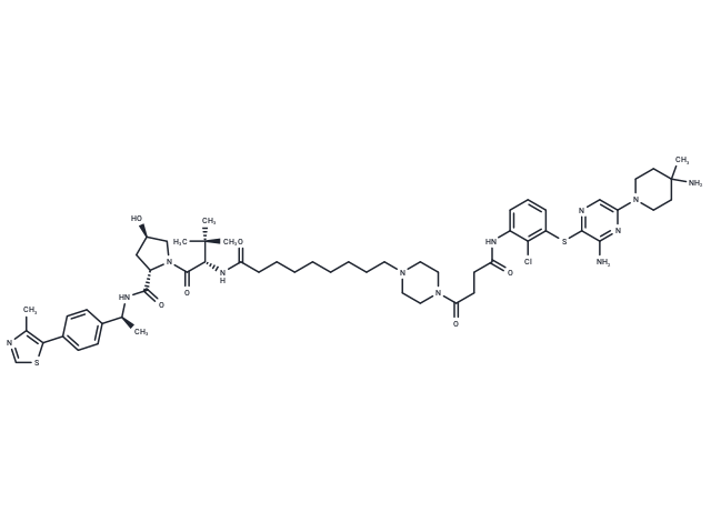 SHP2-D26