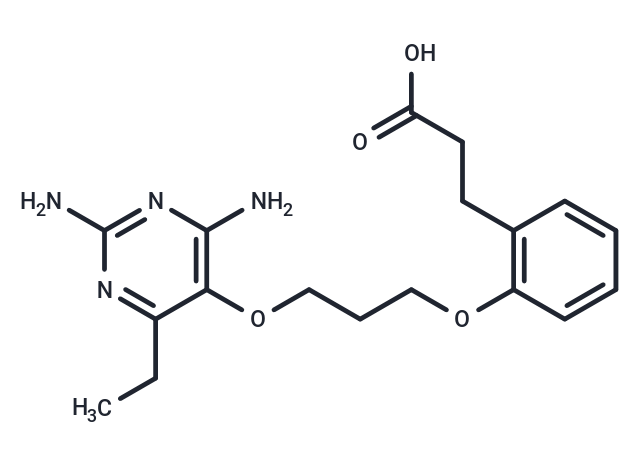 DHFR-IN-5