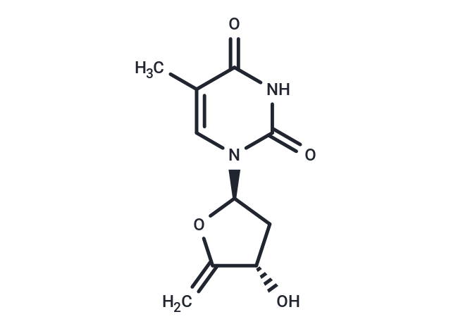 4',5'-Didehydro-5'-deoxythymidine