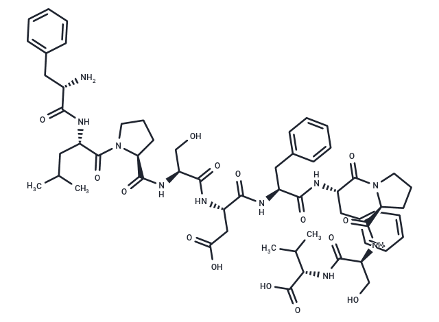 HBcAg [Hepatitis B virus] (18-27)