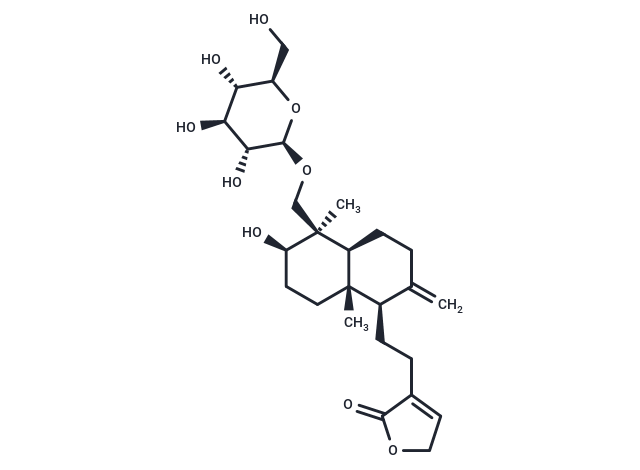 Andropanoside