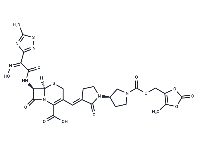 Ceftobiprole medocaril