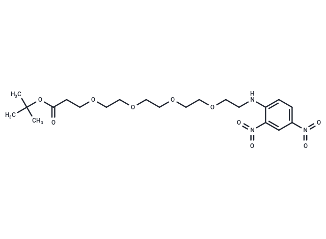 DNP-NH-PEG4-C2-Boc