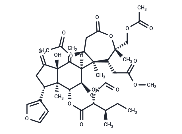 Endosidin1