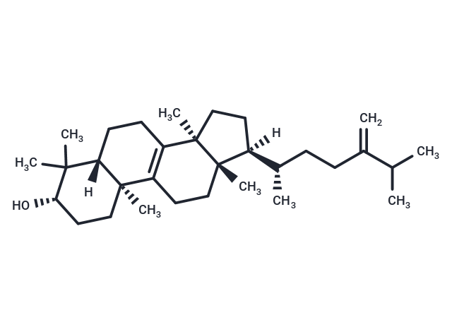 Euphorbadienol