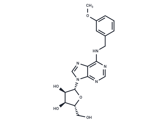 N6-(m-Methoxybenzyl)adenosine