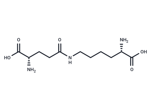 Epsilon-(gamma-glutamyl)-lysine