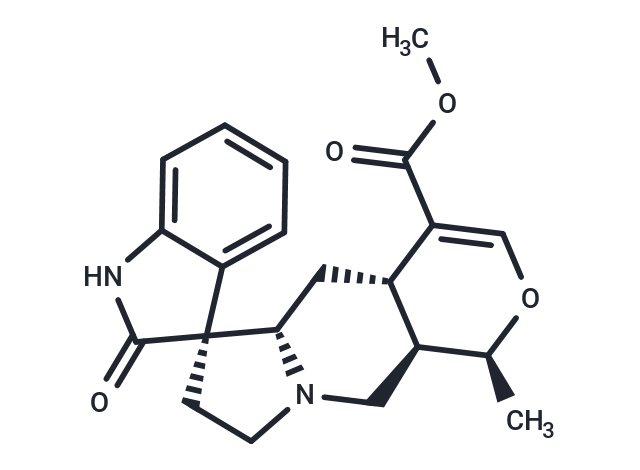 Isomitraphylline