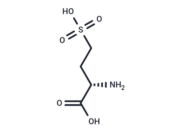 L-Homocysteic acid