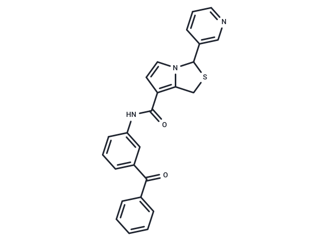 Tulopafant