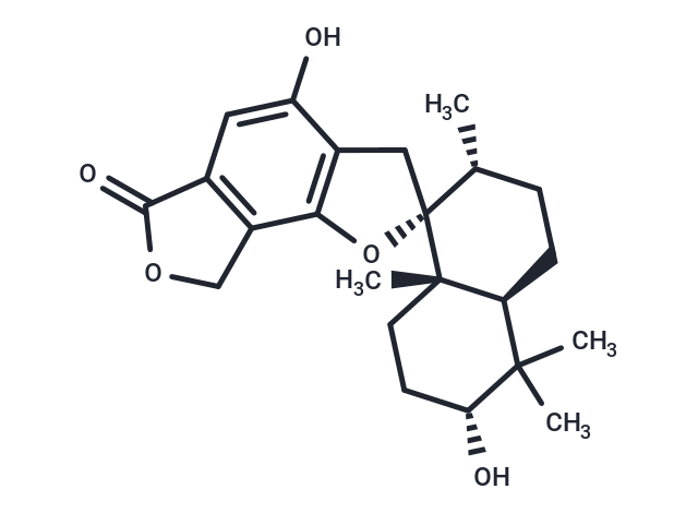 Stachybotrolide