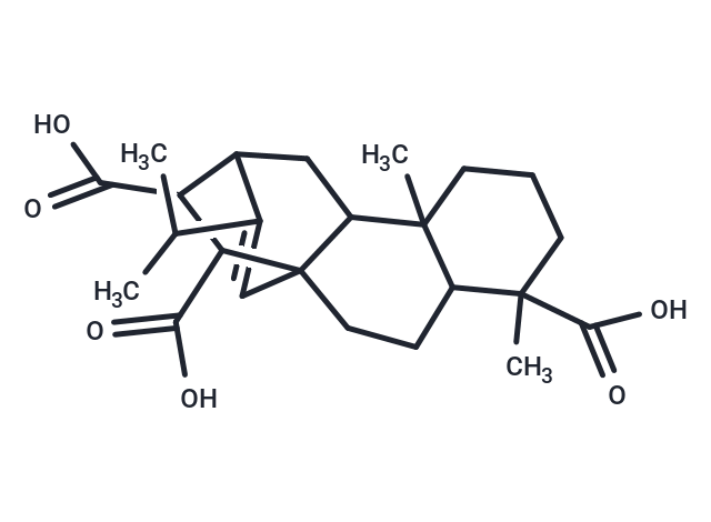 NSC15520