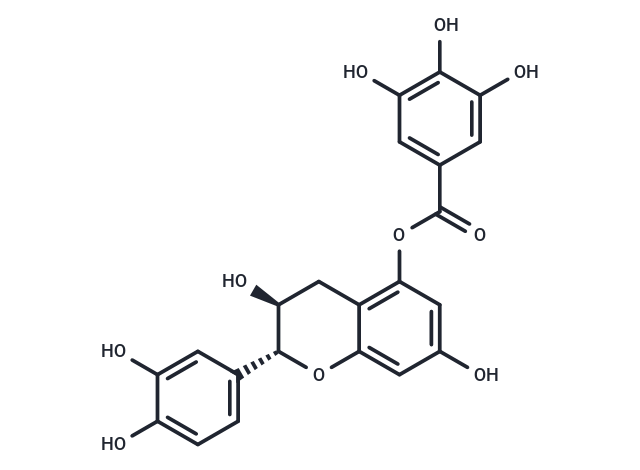 (+)-atechin 5-gallate