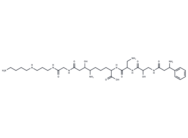 Edeine D