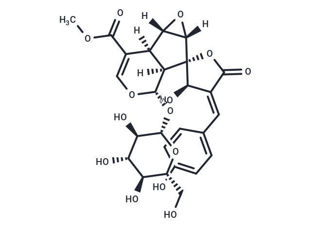 Citrifolinoside A