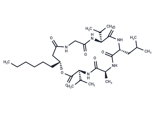 Isariin B