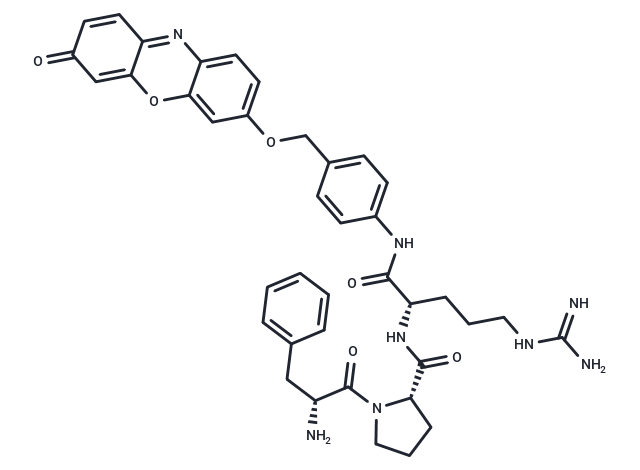 Phe-Pro-Arg-PABA-Resorufin