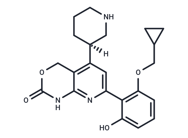 Bay 65-1942 (R form)