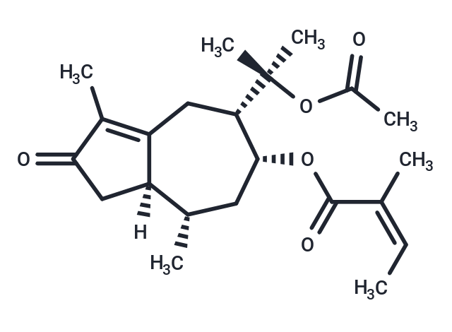 Torilin