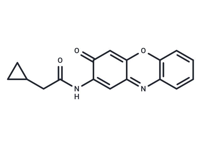 Questiomycin A derivatives 13