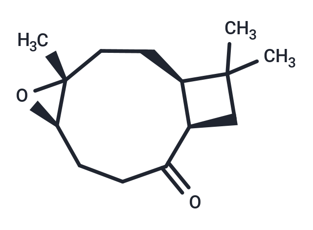 Kobusone