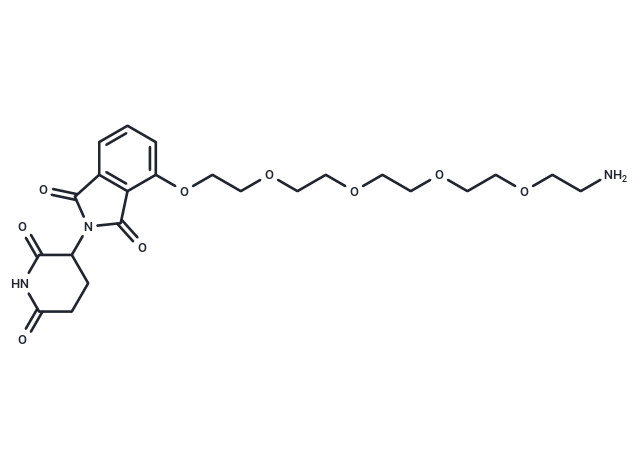 Thalidomide-O-PEG4-amine