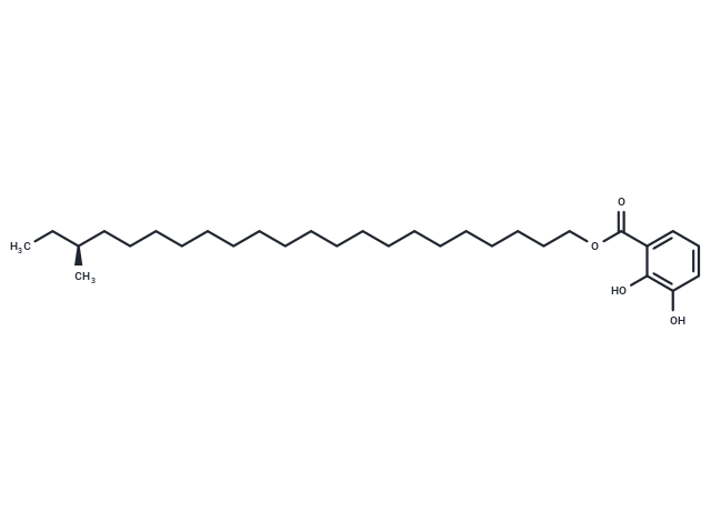 Gentiside B