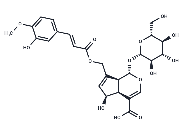 10-O-trans-p-Feruloylscandoside