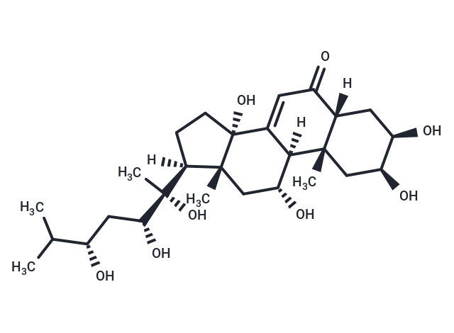 Rhapontisterone