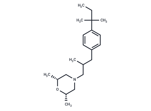 Amorolfine