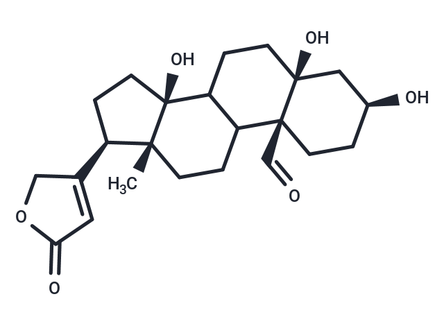 Strophanthidin (Corchorin)