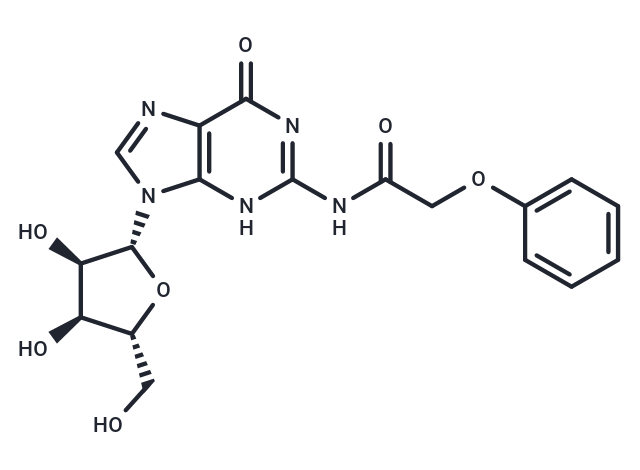 N2-Phenoxyacetylguanosine