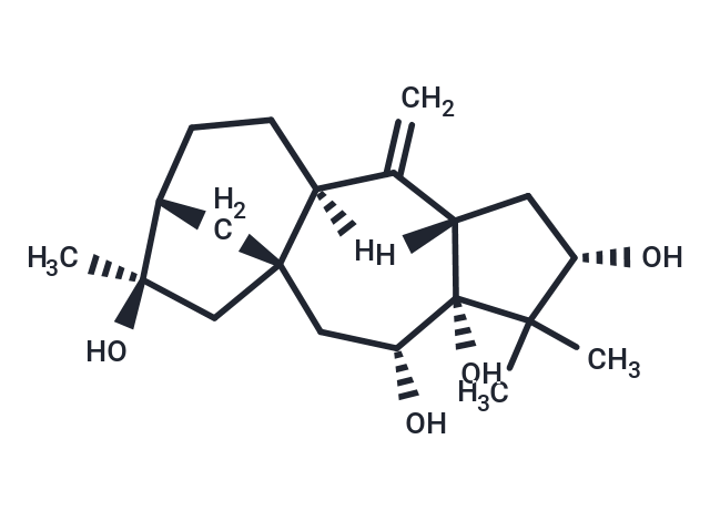 Grayanotoxin XVIII