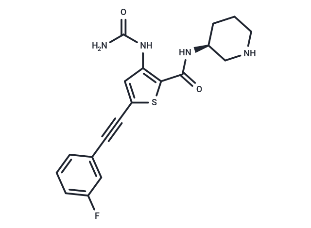 PHI-101