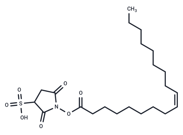 Sulfosuccinimidyl oleate