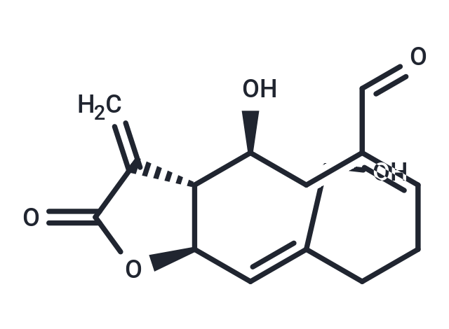 Urospermal