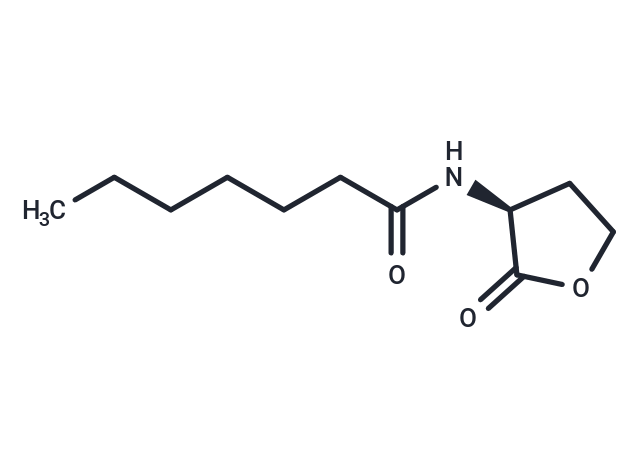 N-Heptanoyl-L-homoserine lactone