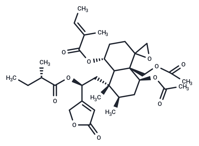 Ajugamarin G1