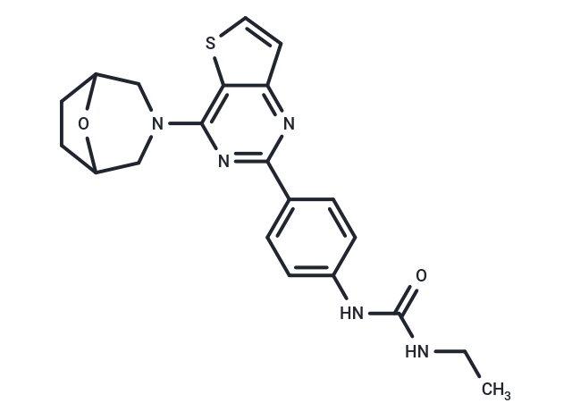 mTOR inhibitor 9b