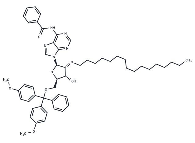 N6-Bz-5’-O-DMTr-2’-O-hexadecanyl adenosine