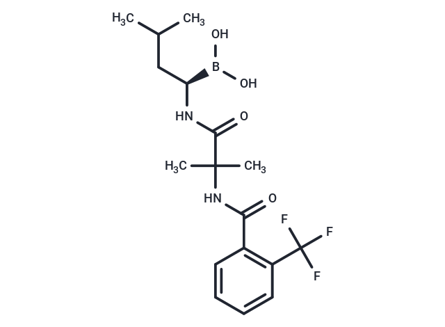 ML604440