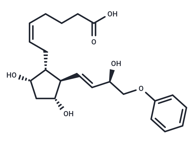 16-phenoxy tetranor Prostaglandin F2α