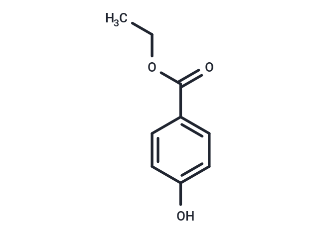 Ethylparaben