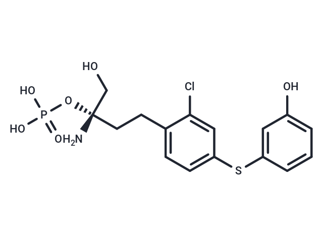 SPM-242