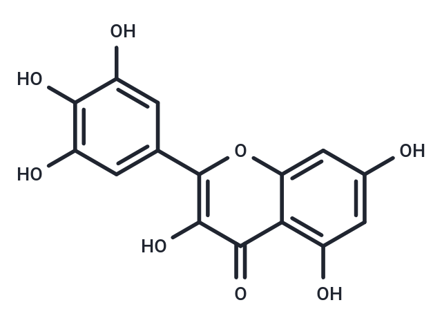 Myricetin