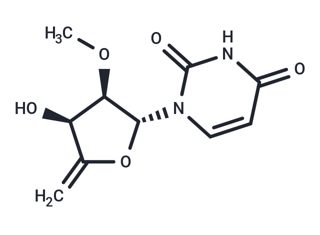 4’,5’-Didehydro-5’-deoxy-2’-O-methyluridine