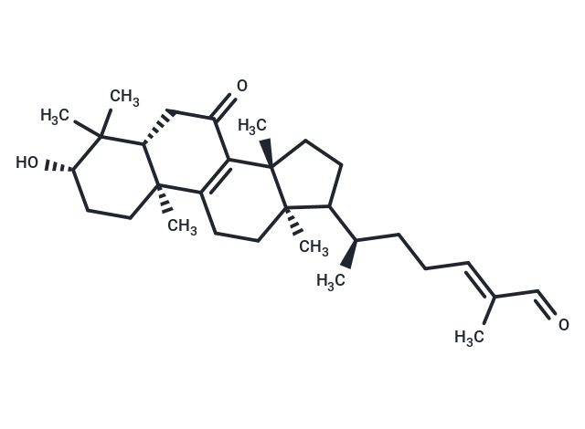 Lucidal