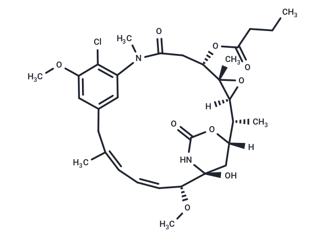 Ansamitocin P 3'