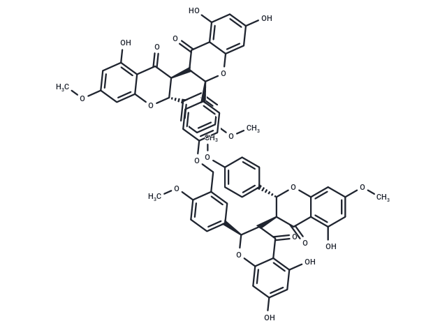 Ruixianglangdusu B