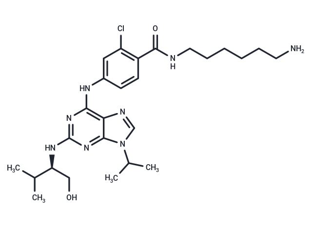 Protein kinase affinity probe 1